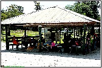 Plonsen - nr. 0086